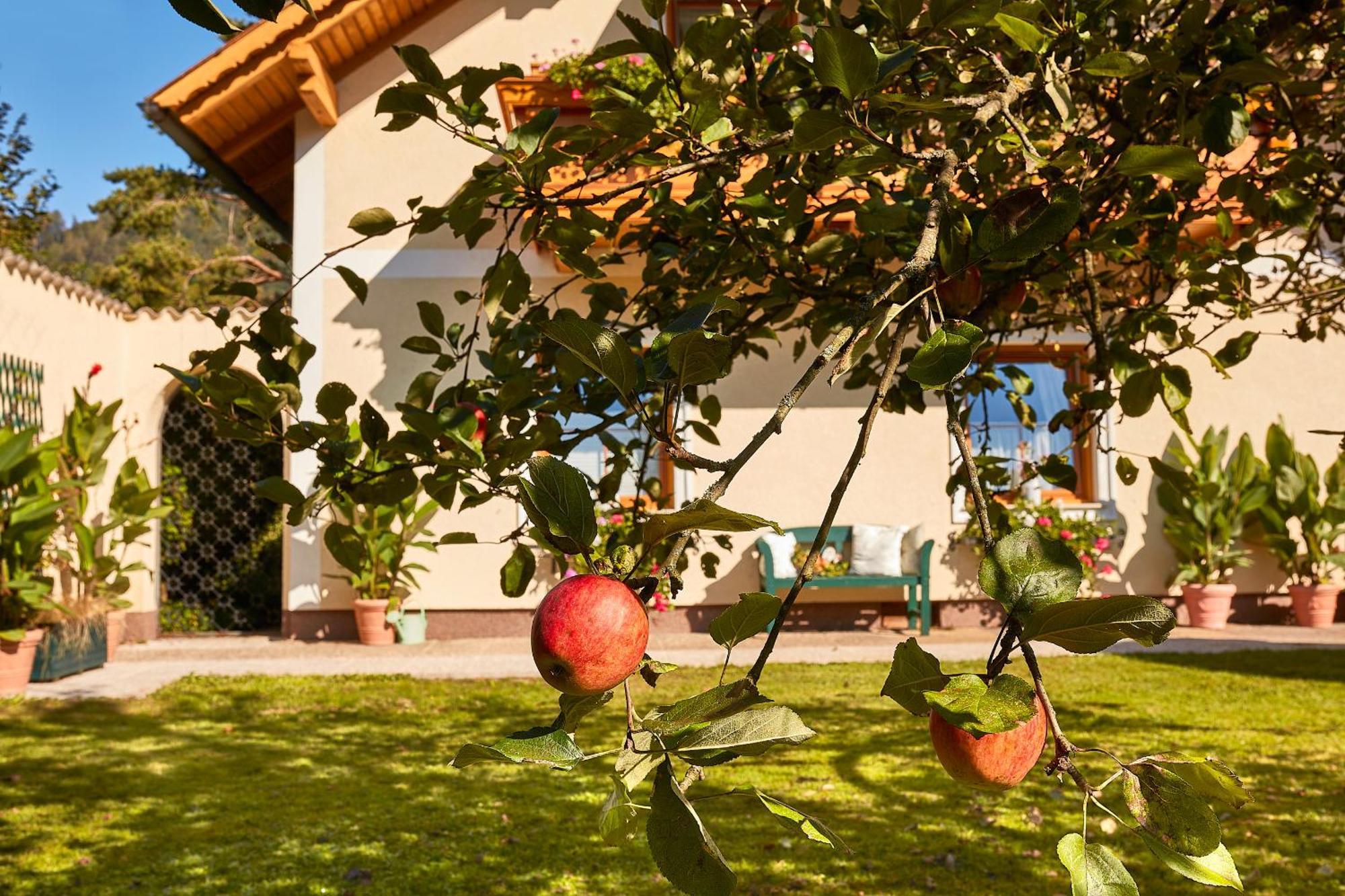 Ferienhaus Zur Maultrommel Molln ภายนอก รูปภาพ